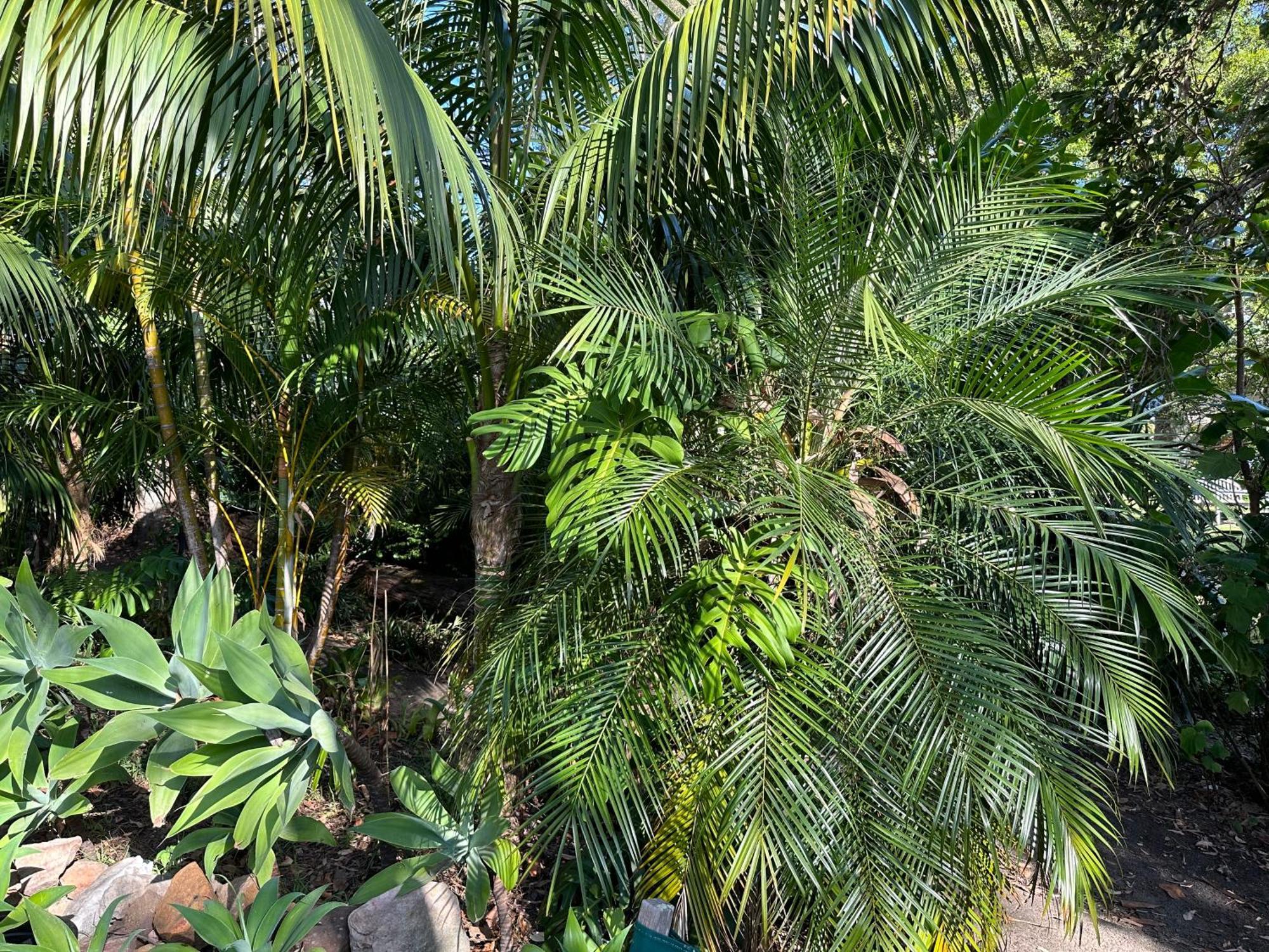 Palm Beach Bed & Breakfast Exterior foto