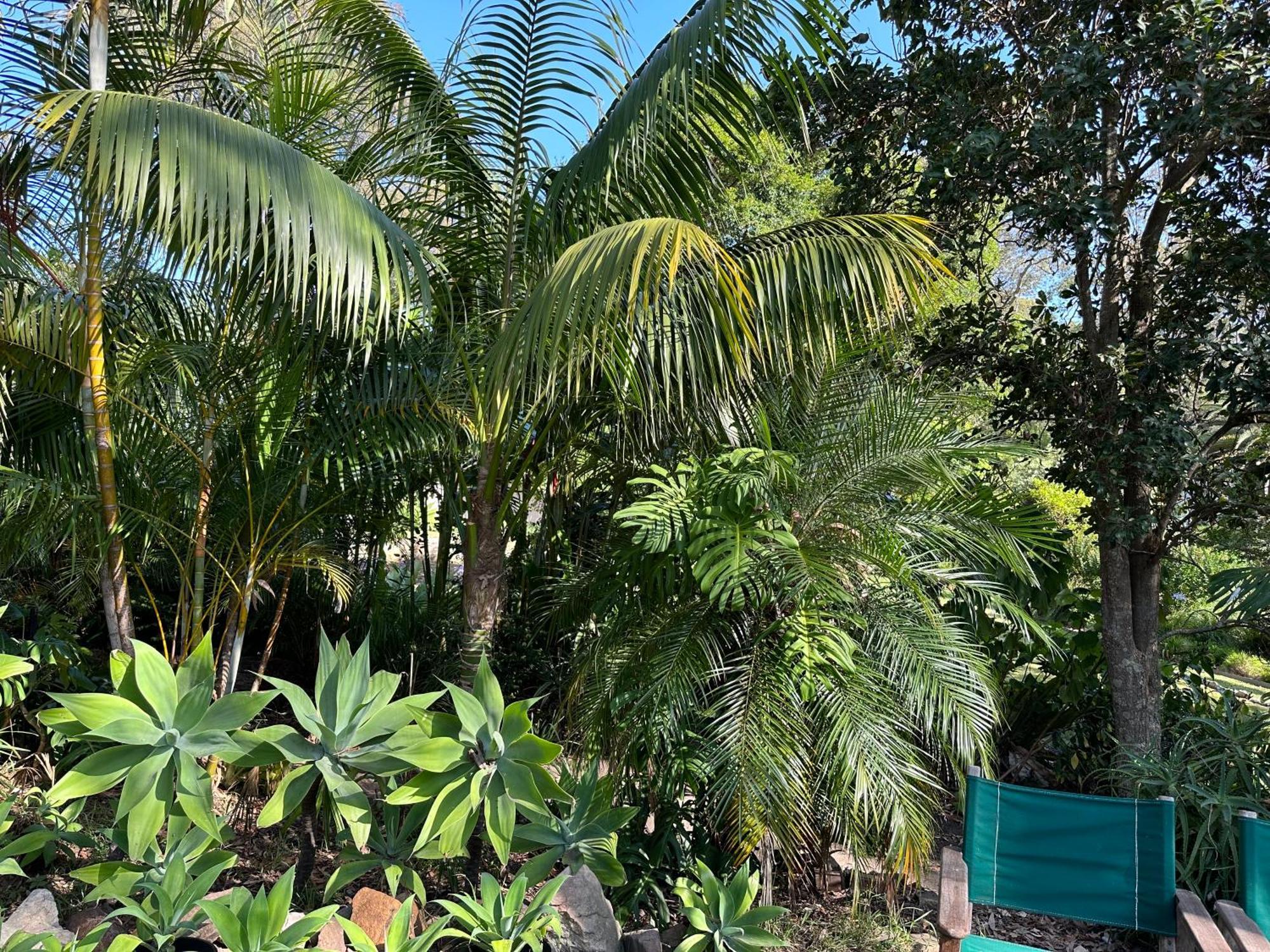Palm Beach Bed & Breakfast Exterior foto